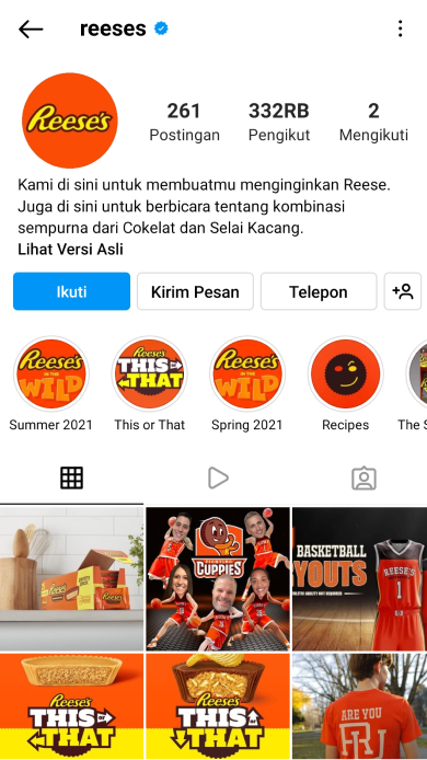 Ide Dan Contoh Link Bio Instagram Untuk Bisnis